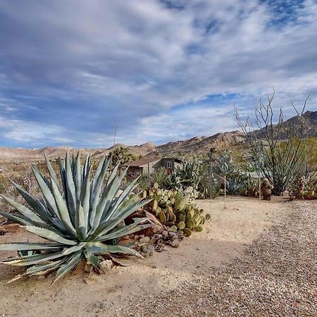 Renovated Lodge - Room 3 With Pool Access Joshua Tree Bagian luar foto